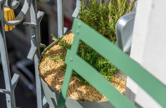 Le cœur de ville - Foto 23