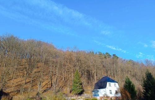 Dom pod Agatową Skałą we Wleniu - Foto 27