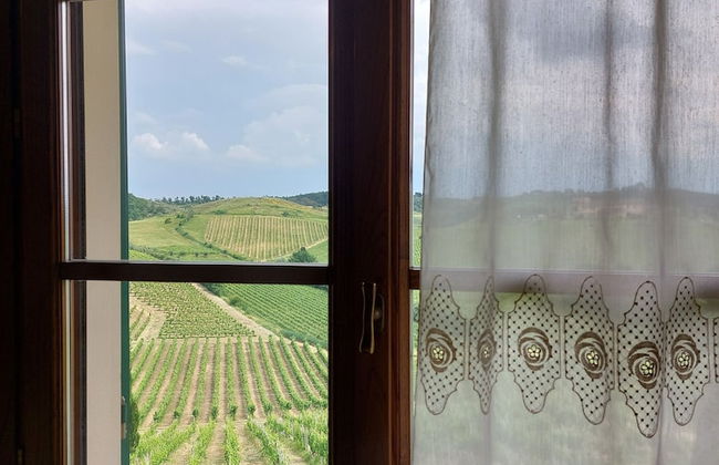 Agriturismo Corte in Poggio - Foto 20