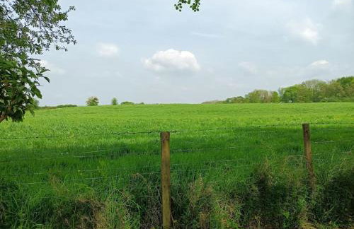Idyllic with Stream - Hot Tub - Pet ok- Walk 2 Pub - Foto 10