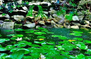 Garden Beach House - Photo 8