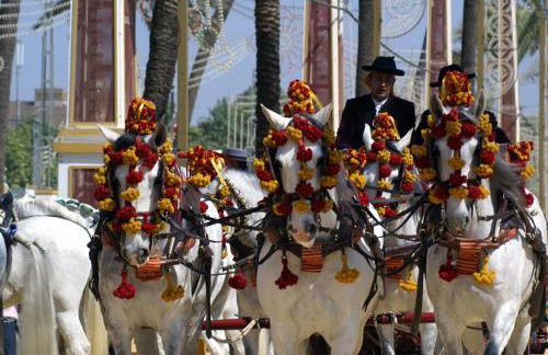 Miriam Costa de la luz - Foto 7