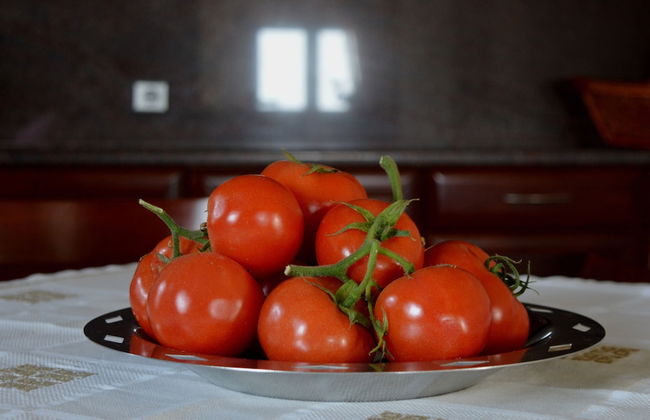 Armi Villa - Foto 11