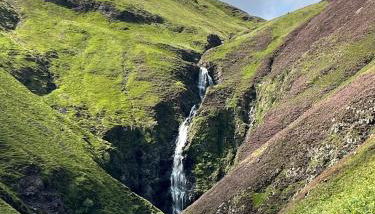 Williamsfield Cottage - Foto 3