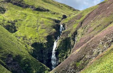 Williamsfield Cottage - Foto 3