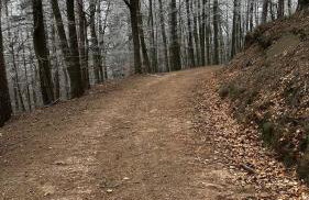 Ferienwohnung Weltachs - Foto 29