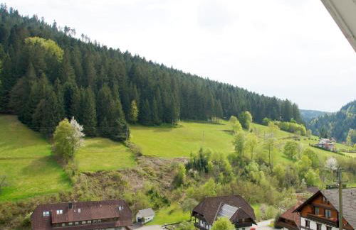 Landpension Am Sommerhang - Photo 53