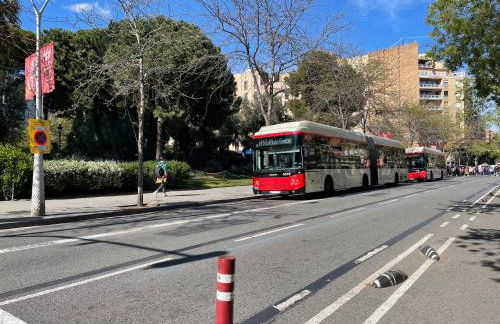 Lazy Donkey Sagrada Familia - Foto 24