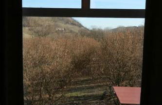 Cà d'Rita Monferrato - Barbera idromassaggio e piscina esterni - Foto 30