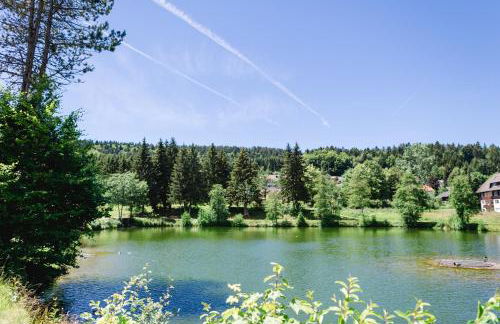 Ferienwohnungen Am Skilift - Foto 58