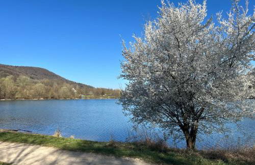 Ländliche Fewo Wildblume, 4 km zum Stausee - Foto 41