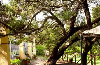 Agriturismo Menhir - Foto 21