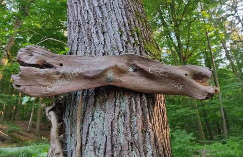 Holiday home Waldhaus Edelweiss - Foto 11