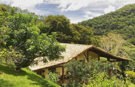 Vale das Estrelas - vale das videiras - araras - Foto 2