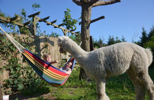 Alpakatherapie und Ferienhof Charlottenthal - Foto 48