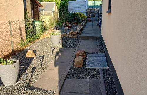 Chillkröte - Foto 4