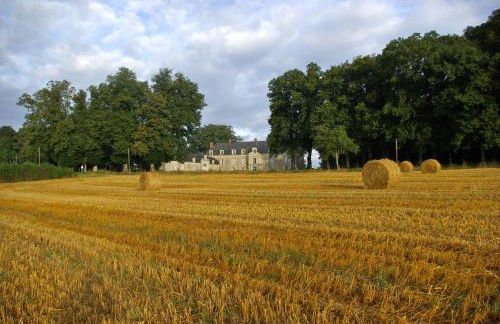 Chateau De Piedouault - Photo 13