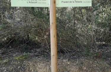 La Cantonada - Foto 30