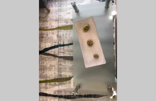 Viana do Castelo - Amonde Village - Casa L - Disfrute da Natureza - Foto 36