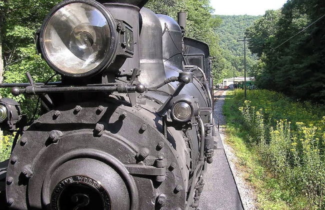 Leatherbark - Foto 25