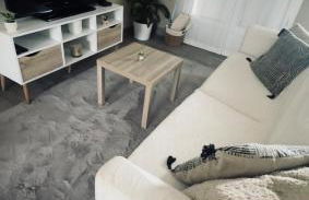 Petit nid douillet mitoyen à Auterive - Photo 1