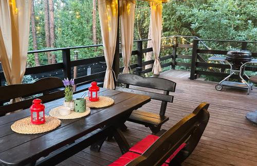 Leśniczówka na Kaszubach - Apartament do 12 osób, balia na wyłączność - Foto 15