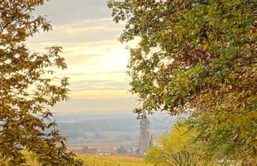 GITE DES FORGERONS - Foto 17