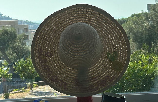 Lemon Factor Sorrento - Photo 56