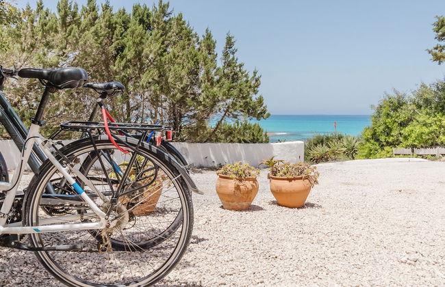 Aparthotel La Gaviota - Foto 26