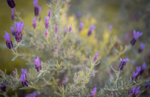 Agriturismo Country Casale Rufo - Foto 67