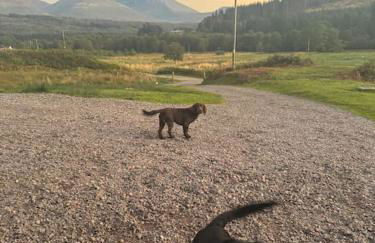 Isabels Cabin - Photo 28