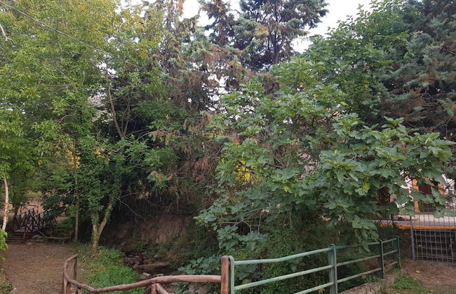 Il Ruscello di Ceraso - Foto 22