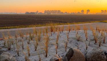 Haus Viking mit 2 Ferienwohnungen Bjorn 4 Pers und Floki 6 Pers mit Düne und Garten - Foto 3