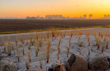 Haus Viking mit 2 Ferienwohnungen Bjorn 4 Pers und Floki 6 Pers mit Düne und Garten - Foto 3