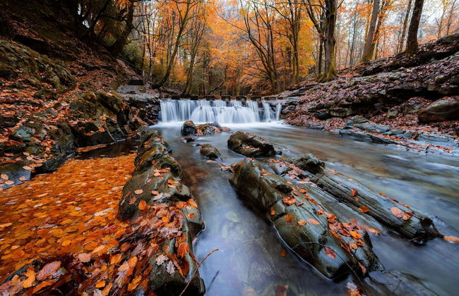 The Heights & Hollows Farmhouse - Foto 54