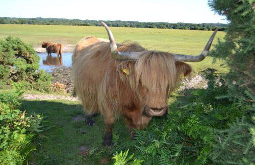 Bentley Cottage - Foto 28