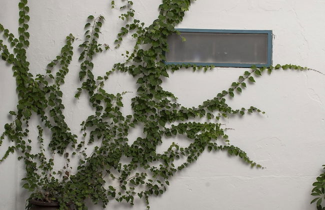 Apartamentos Petronila 1881 - Foto 55