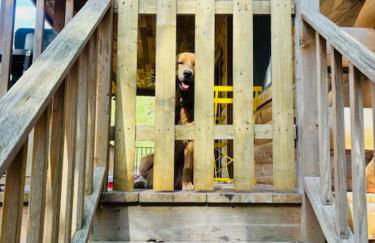 Waterfront Secluded Log Cabin - Foto 43