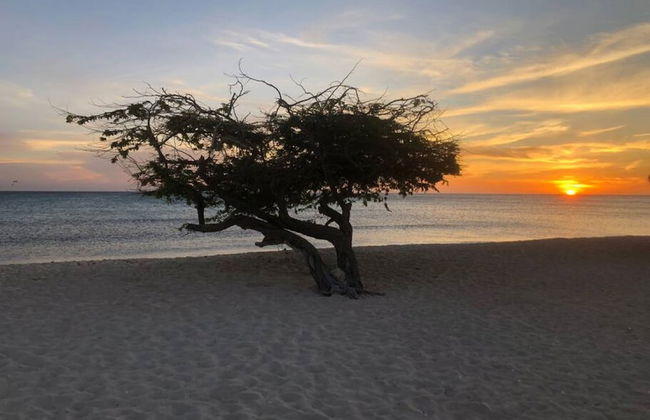 46 sec to Beach Pool Side Massage Priv Chef UTV - Foto 5