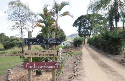 Haras Santa Amalia - Nova União MG - Foto 10