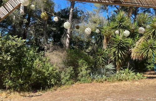 Chez Christa - Foto 1