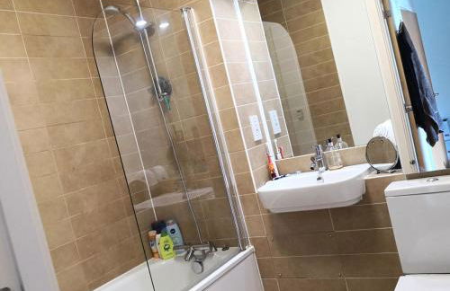 Homely Spacious 3 bedrooms duplex with roof-top next to Victoria Park & regent's canal in vibrant East End London - Foto 11