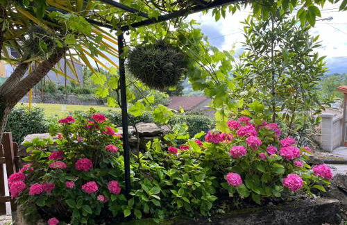 La Ferrería - Foto 22