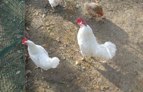 Agriturismo La Rosa Montefalco - Foto 33