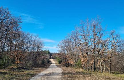 Villa Azzurra - Photo 44