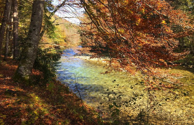 Chalet Chiemgau, Inzell - Photo 30