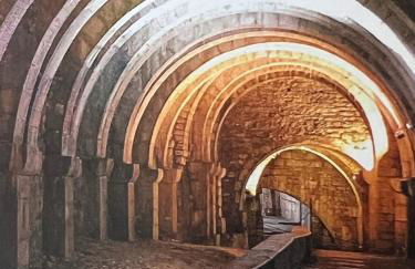 Le salinois - Foto 14