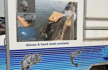 The Herring Queen - Foto 12