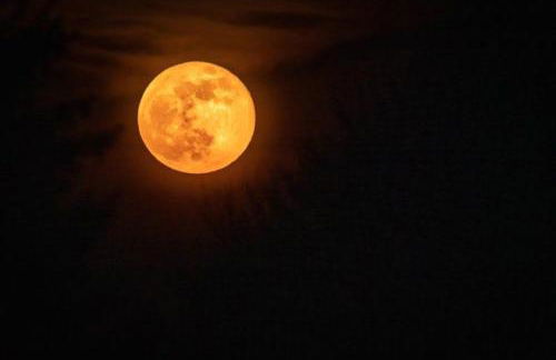 Mirador de Fuentes - Foto 14