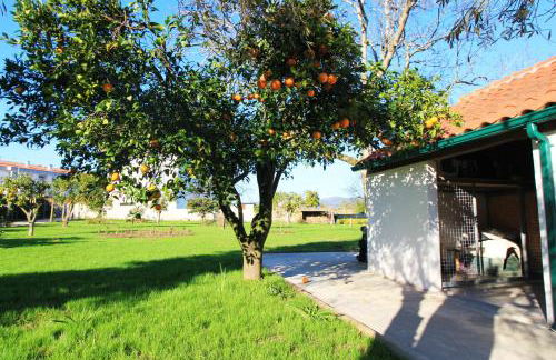 Casa dos Ouriços - Foto 36